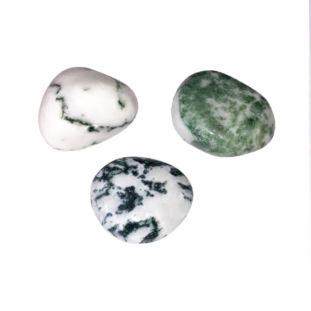 pierre roulée agate arbre pierre roulée agate arbre