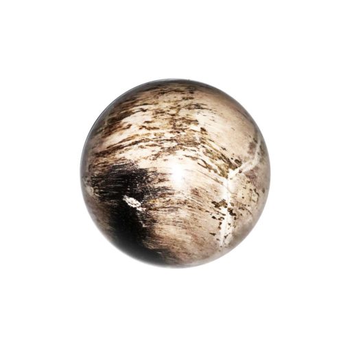 sphere bois fossilise 40mm