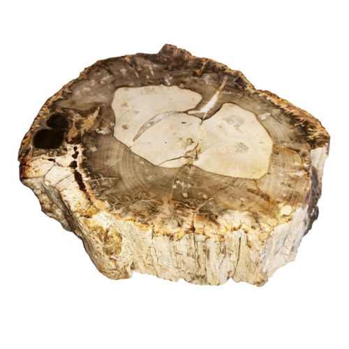 bois-fossilise-mcbf02