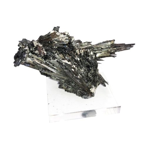 stibine-de-roumanie-mcsti02