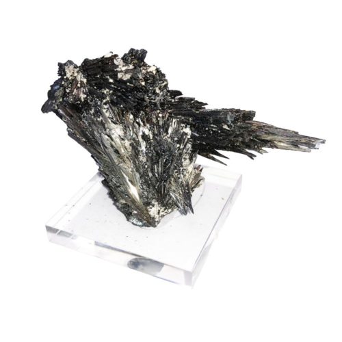 stibine-de-roumanie-mcsti02