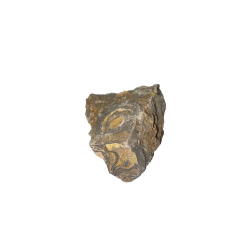 pierre-brute-stromatolithe