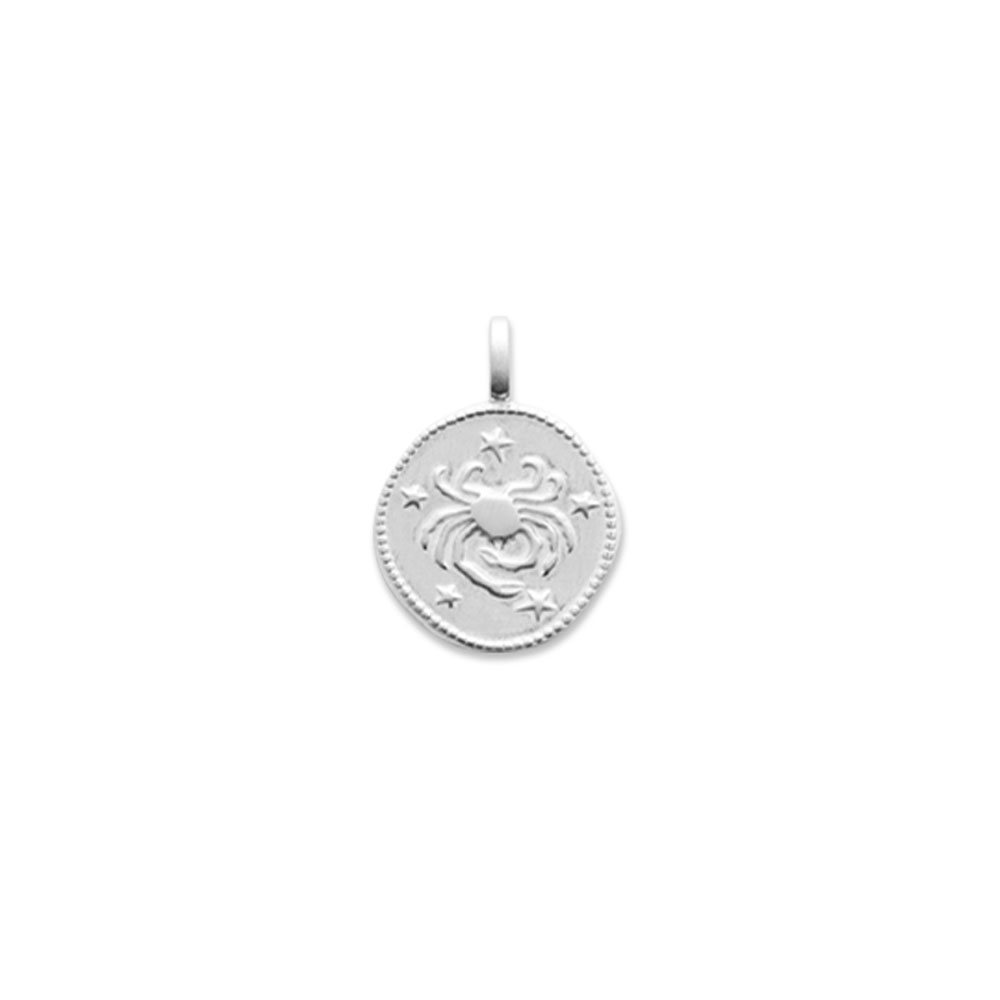 77696006-pendentif-cancer-signe-astrologique-1-argent pendentif cancer 1argent