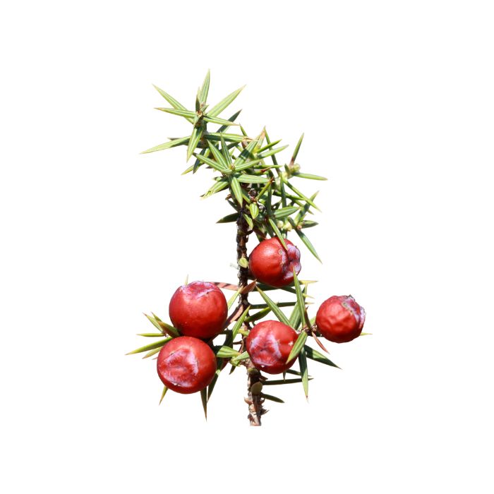 huile-essentielle-cade