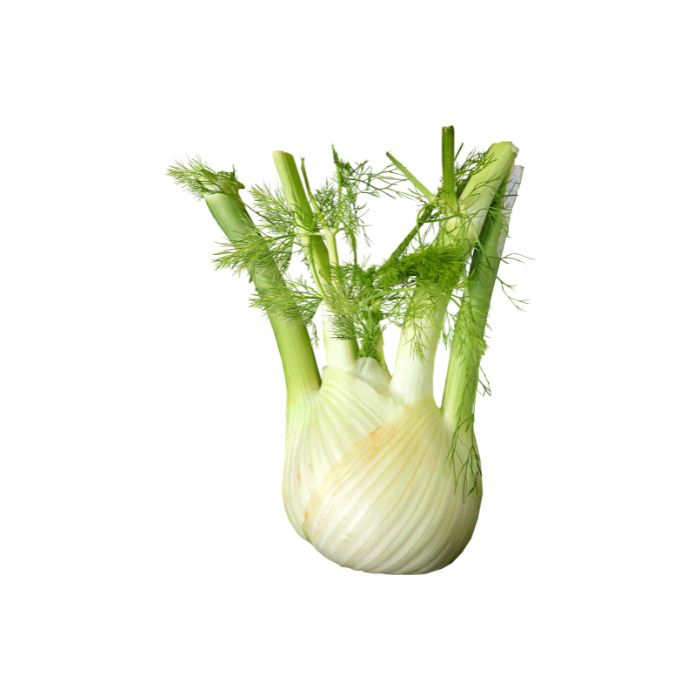 huile-essentielle-fenouil