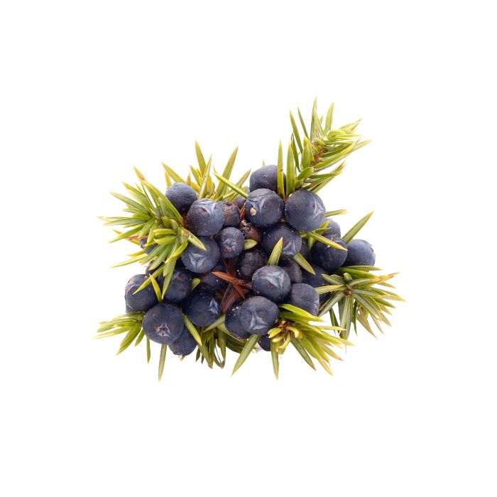 huile-essentielle-genevrier