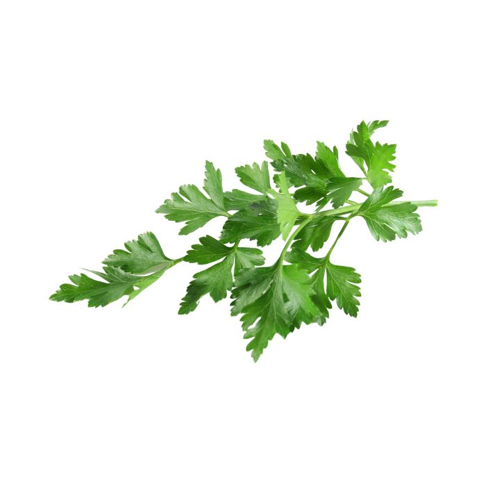 huile-essentielle-liveche