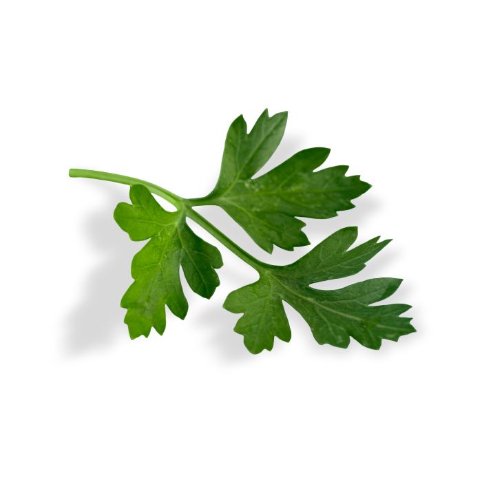 huile-essentielle-persil