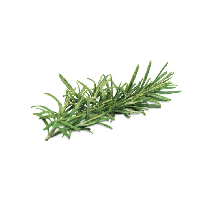 huile-essentielle-romarin-officinalis