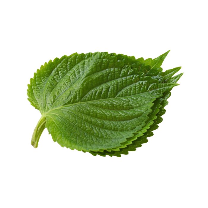 huile-vegetale-perilla