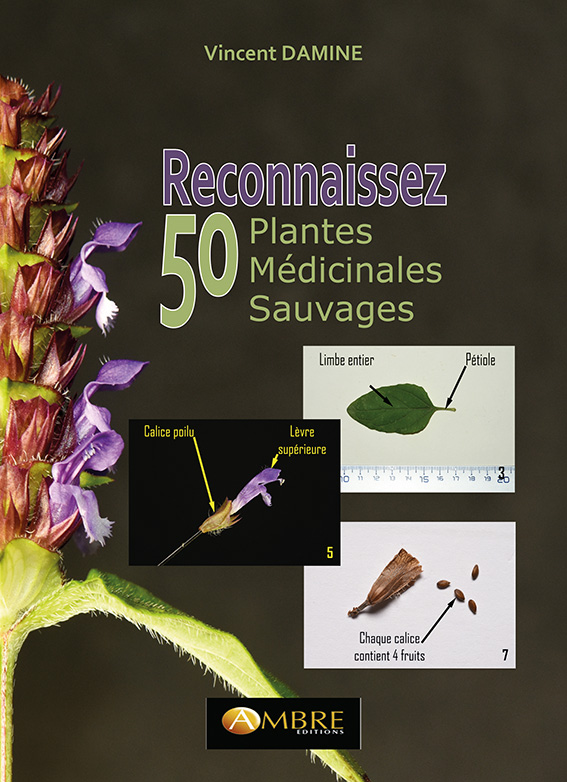CV-Rec-50-plantes-essai.jpg