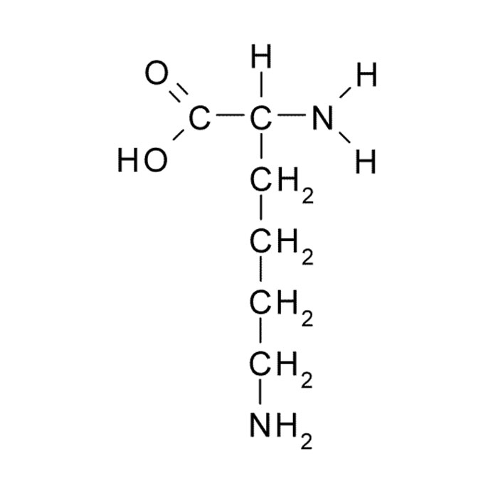 acide-amine-essentiel