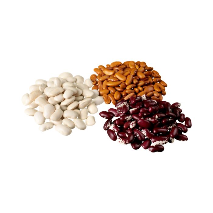 aliment-haricots-secs