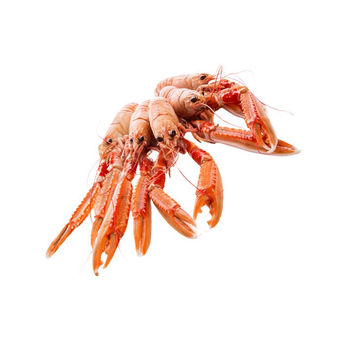 aliment-langoustine