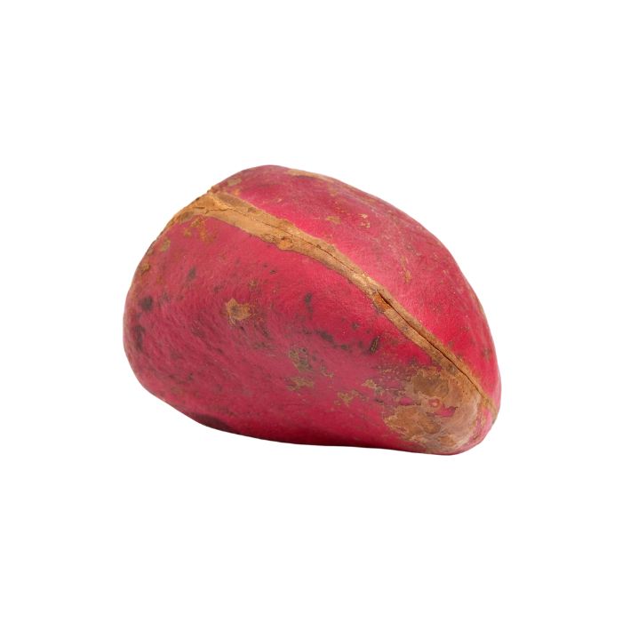 aliment-noix-de-kola