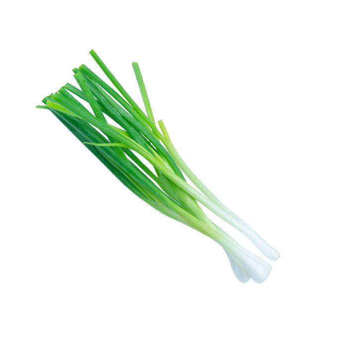 aliment-oignon-vert