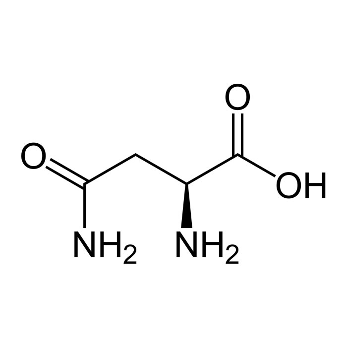 asparagine