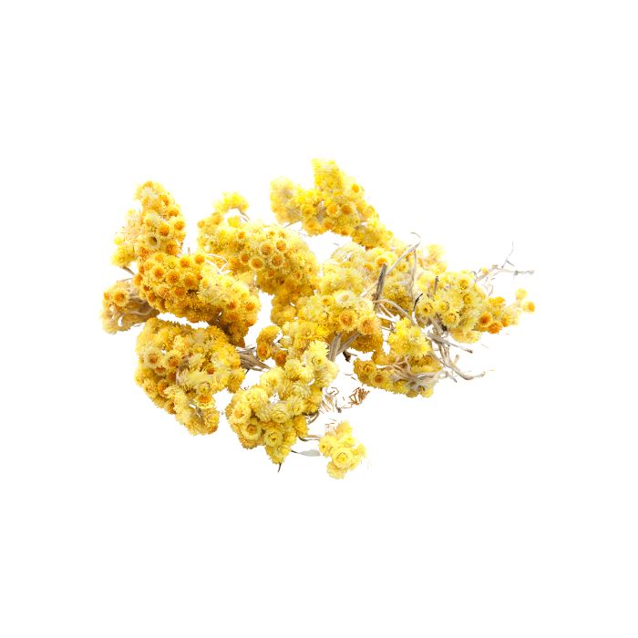 huile-essentielle-helichryse-italienne