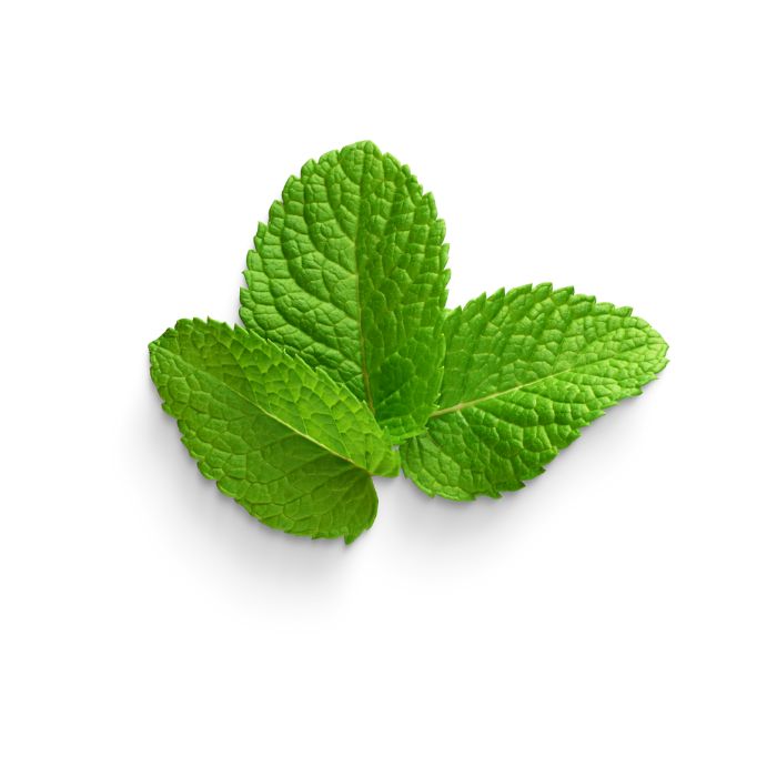 huile-essentielle-menthe-des-champs