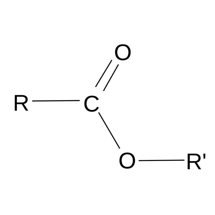 ester-glycerique-de-resines-de-bois-e445