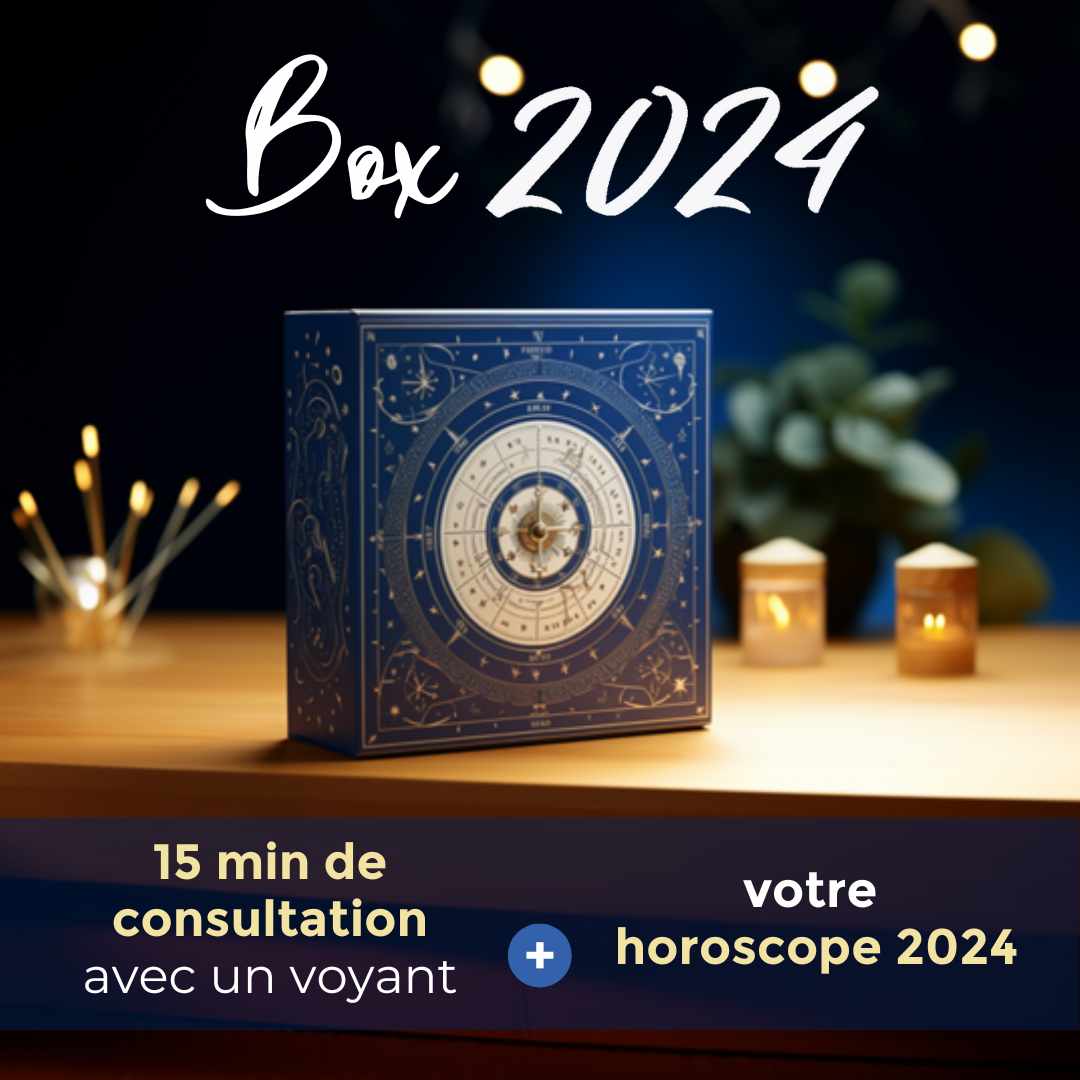 box 2024 box 2024