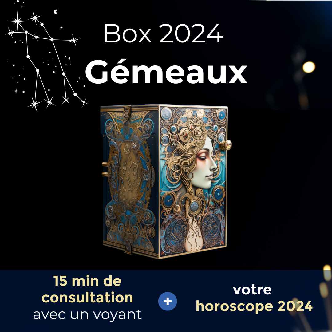 box gémeaux 2024 box gémeaux 2024