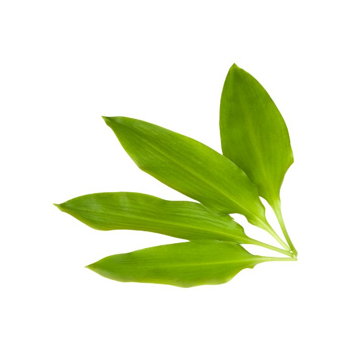 aliment-ail-des-ours