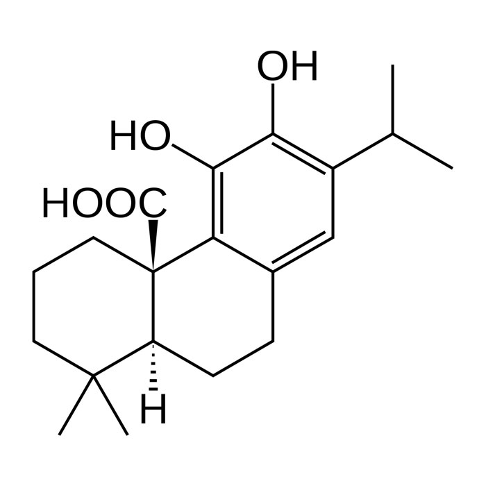 e392-extrait-de-romarin