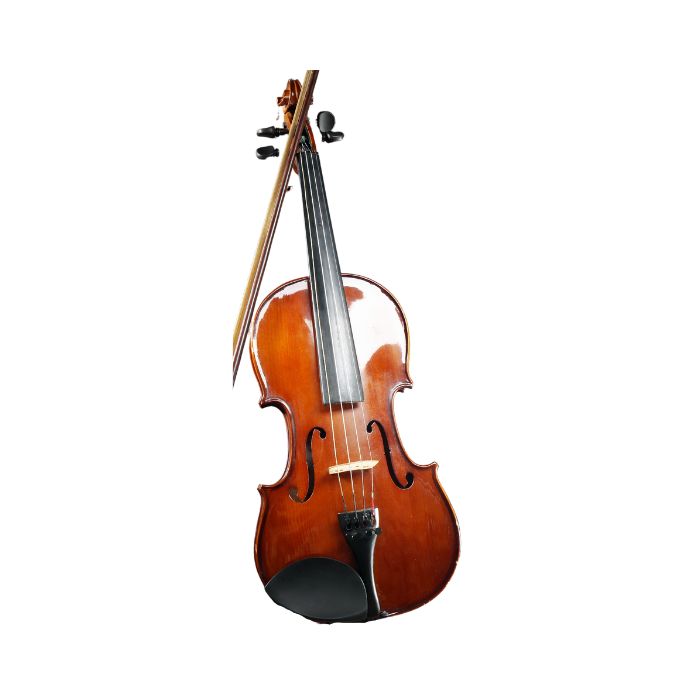 instrument-violon-electro-acoustique