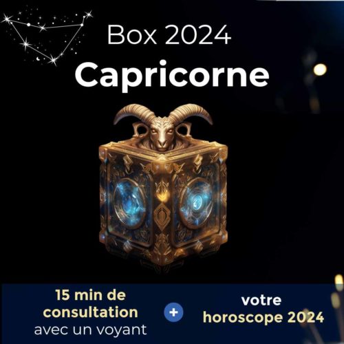 box capricorne 2024