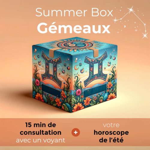 Summer box Gémeaux