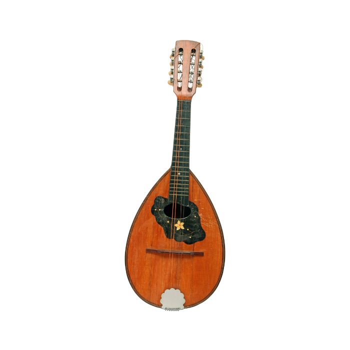 instrument-Mandoloncelle