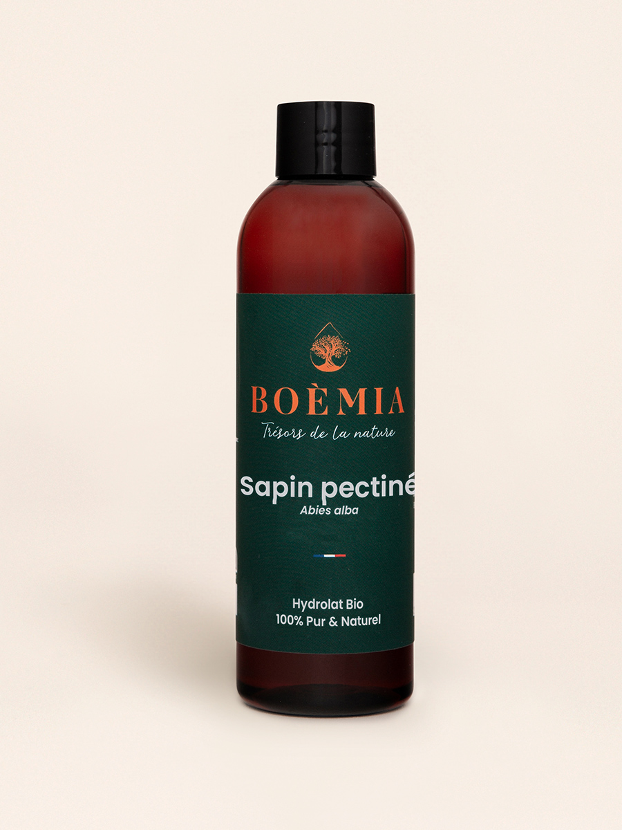 sapin-pectine-1.jpg