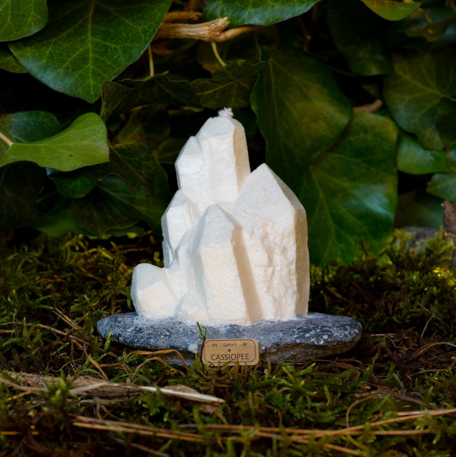 Tâche_1104_17-12-21_CLEAN_CASSIOPEE_PRODUCT_SITUATION_FINAL+M4centrée