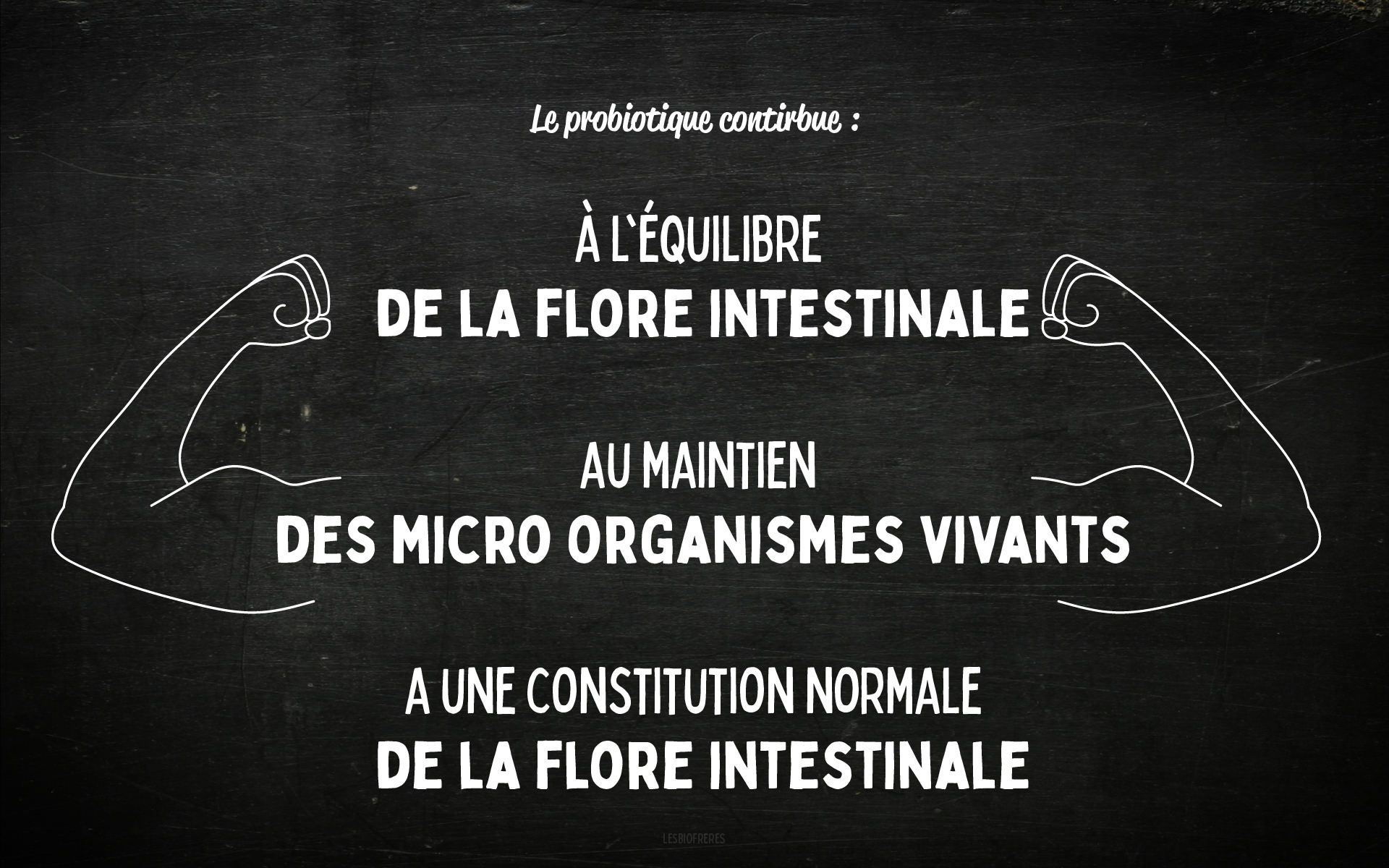 probiotique-allegations-1