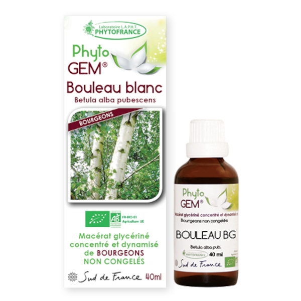 bouleau-blanc-gemmotherapie-phytogem-phytofrance.jpg