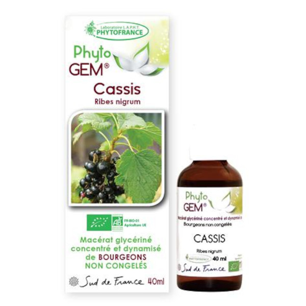 cassis-phytogem-gemmotherapie-phytofrance.jpg