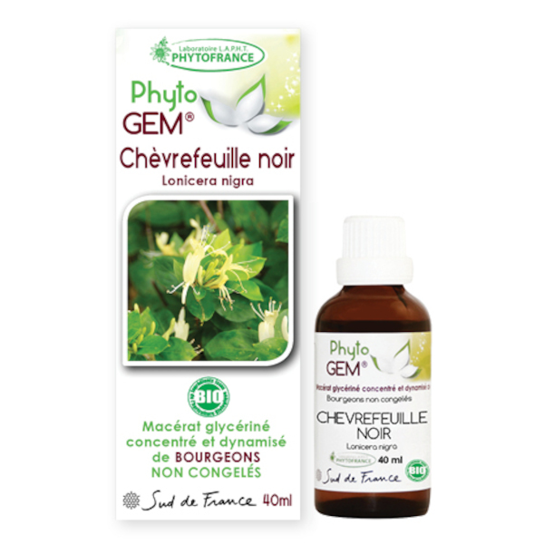 chevrefeuille-noir-gemmotherapie-phytogem-phytofrance.jpg