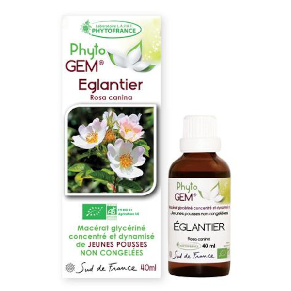 eglantier-phytogem-gemmotherapie-phytofrance.jpg