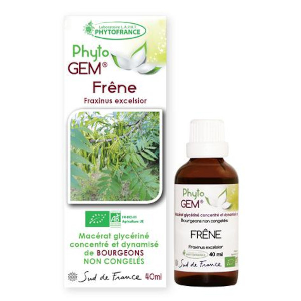 frene-phytogem-gemmotherapie-phytofrance.jpg