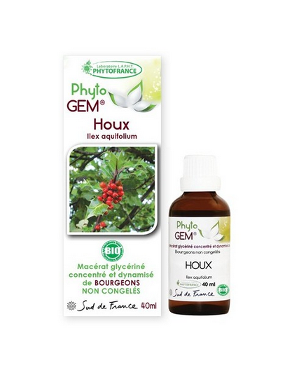 houx-gemmotherapie-e1713543238997.png