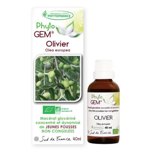 olivier-phytogem-gemmotherapie-phytofrance.jpg