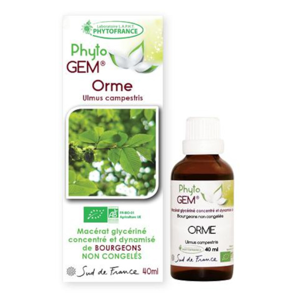 orme-phytogem-gemmotherapie-phytofrance.jpg